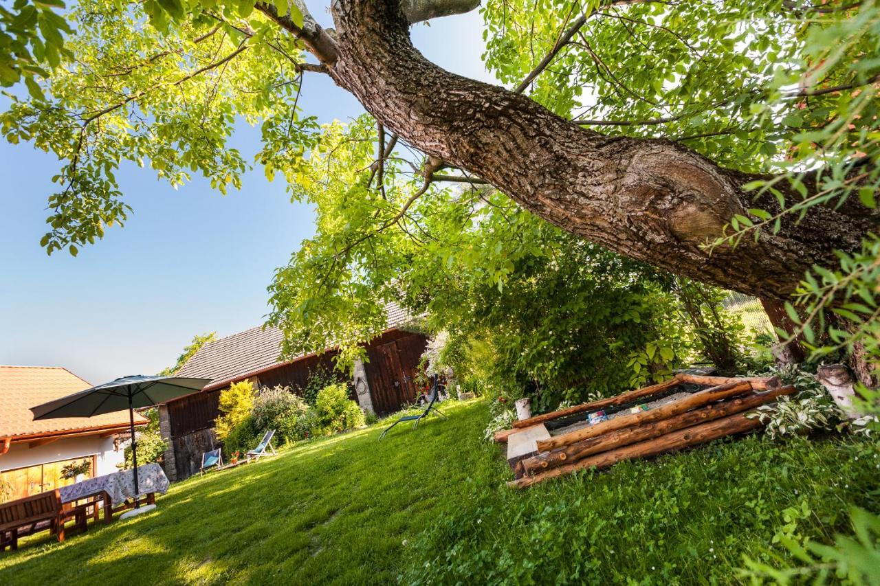 Dom Pod Orzechem Villa Łapczyce Eksteriør bilde